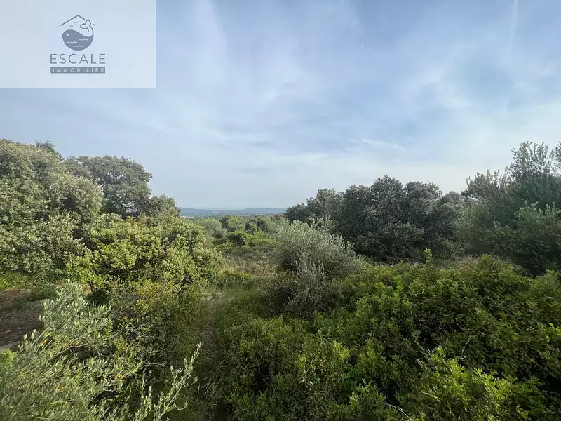 Terrain, 6 091 m²