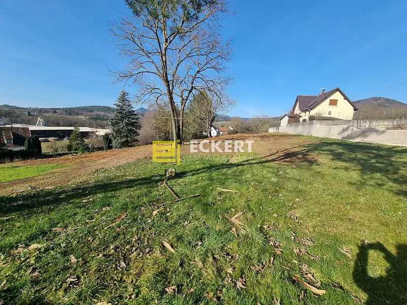 Terrain, 2 768 m²