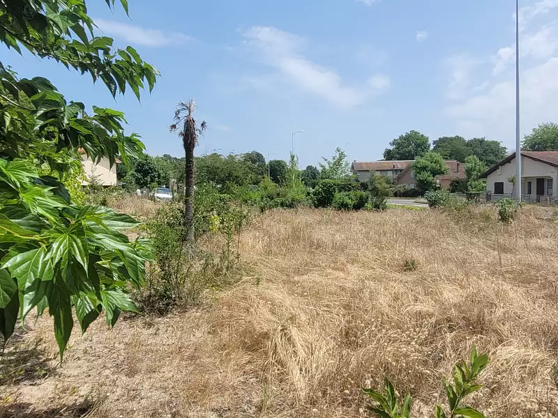 Terrain, 451 m²