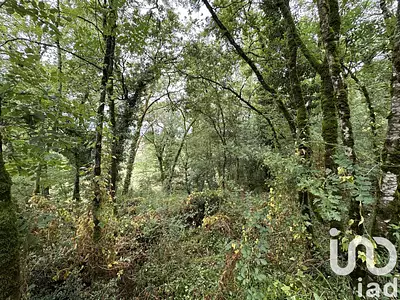 Terrain, 1 195 m²