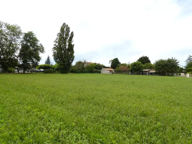 Terrain, 2 250 m²