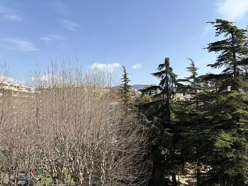 Appartement, 34,44 m²