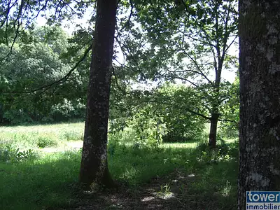 Terrain, 1 780 m²