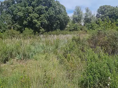 Terrain, 901 m²