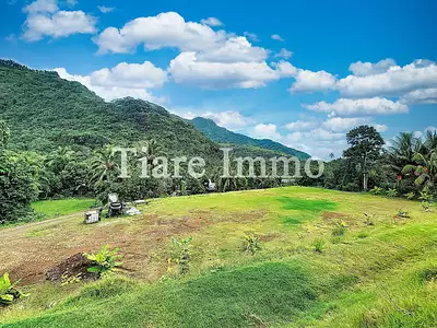Terrain, 3 000 m²