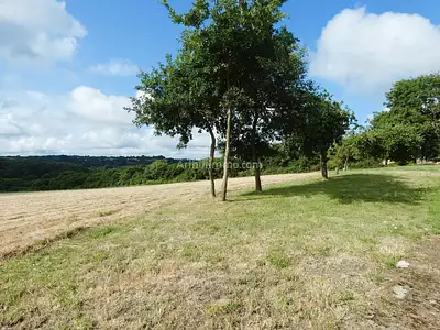 Maison, 300 m²