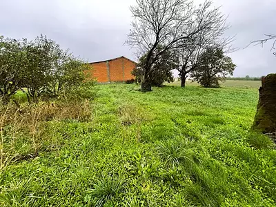 Terrain, 3 000 m²