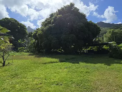 Terrain, 4 985 m²