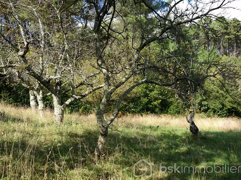 Terrain, 4 806 m²