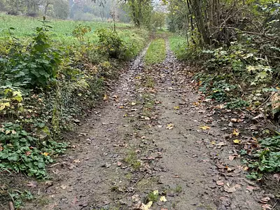 Terrain, 732 m²