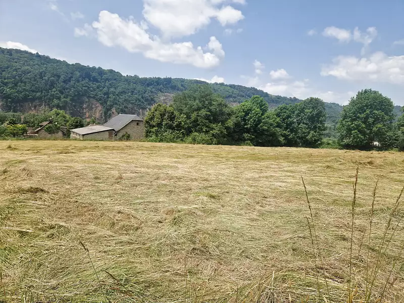 Terrain, 3 436 m²