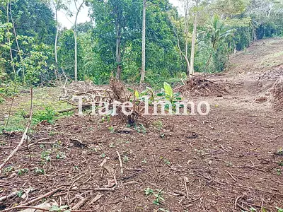 Terrain, 1 136 m²