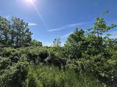 Terrain, 26 139 m²