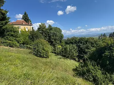 Terrain