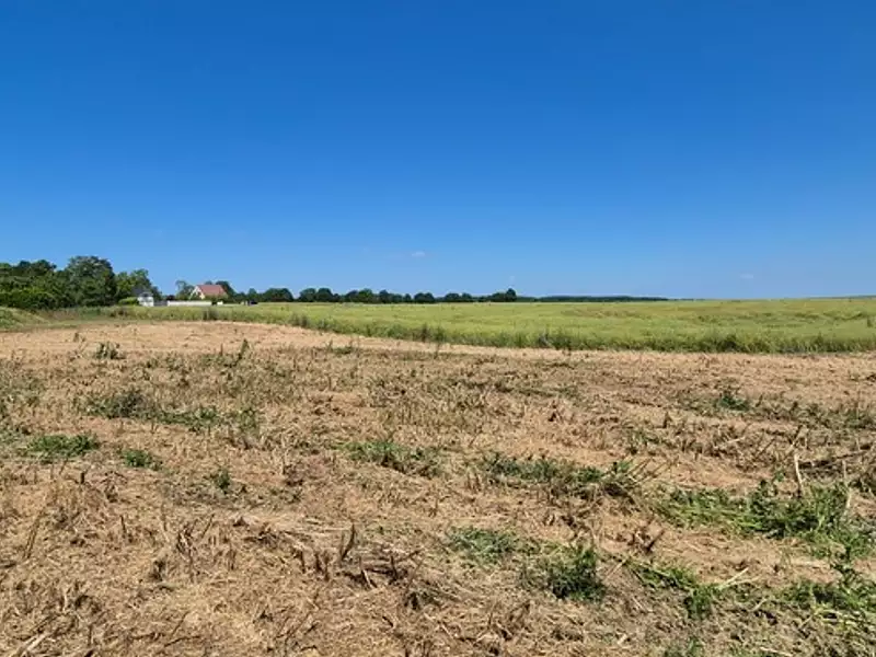 Terrain, 600 m²