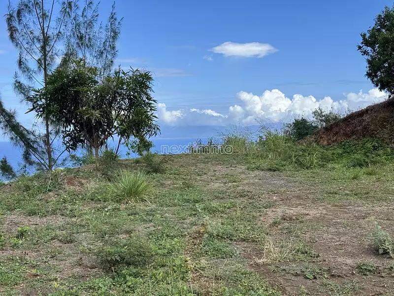 Terrain, 1 600 m²