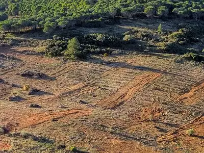 Terrain, 598 m²