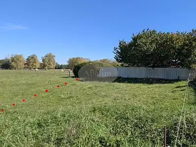 Terrain