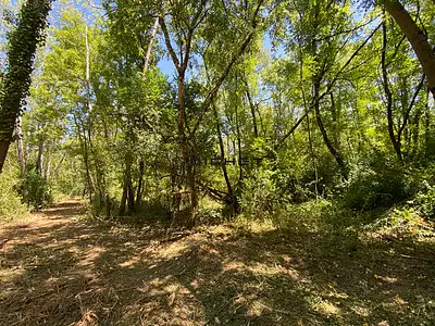Terrain, 33 210 m²