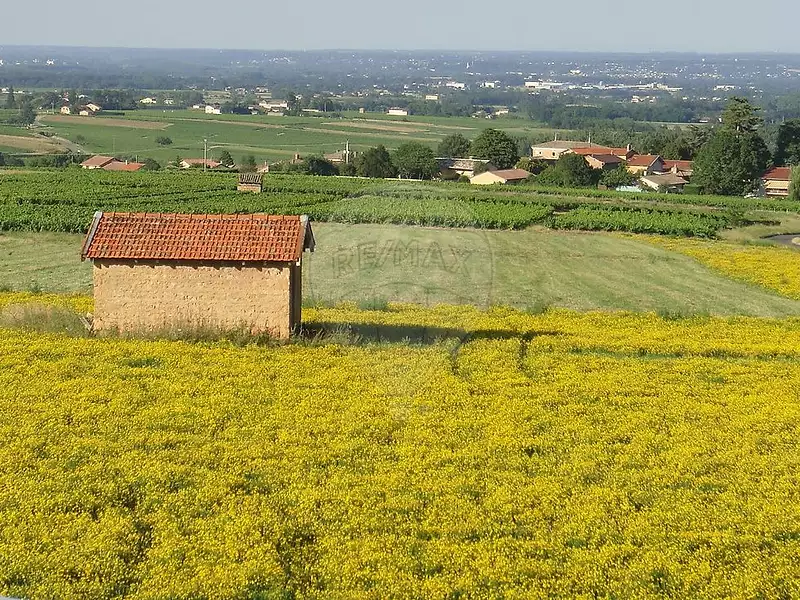 Maison, 250 m²