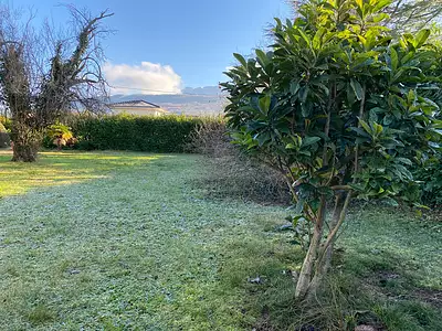Terrain, 927 m²