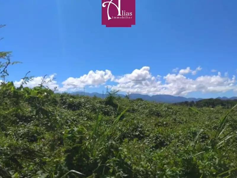 Terrain