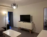 Appartement, 55,3 m²