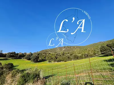 Terrain, 1 500 m²