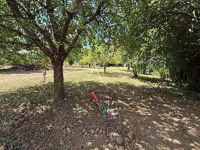 Terrain, 1 239 m²