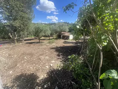 Terrain, 375 m²