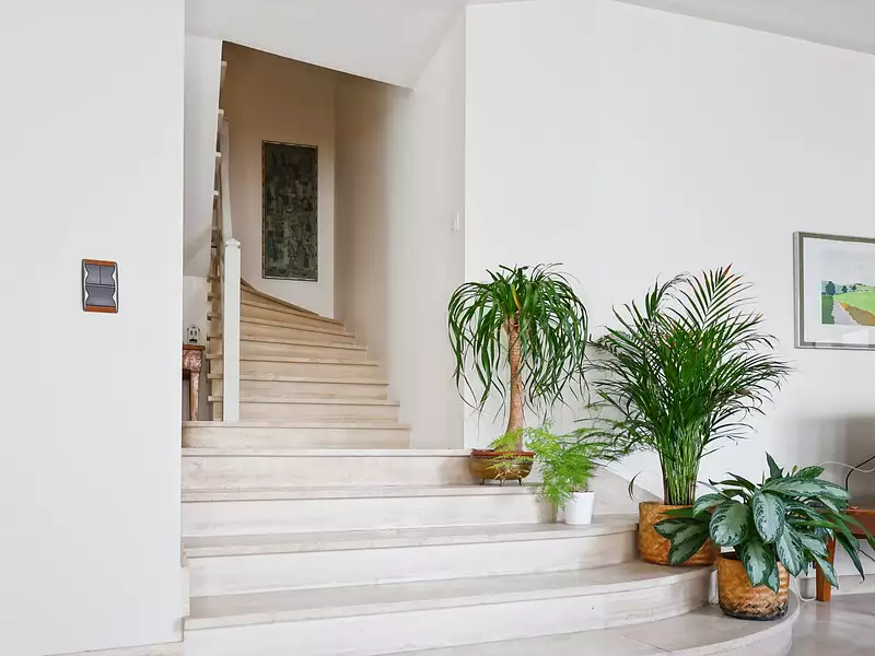 Maison, 219 m²