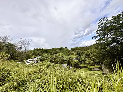 Terrain, 1 212 m²