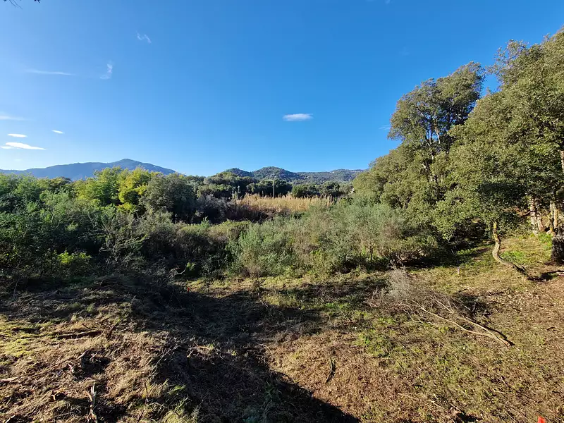 Appartement, 46,8 m²