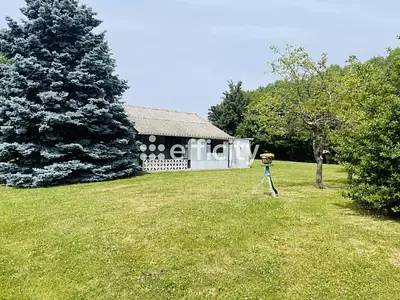 Terrain, 1 560 m²