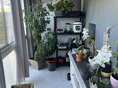 Maison, 44 m²