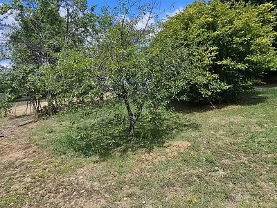 Maison, 75 m²