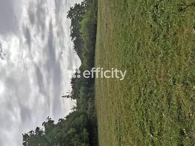 Terrain, 1 460 m²