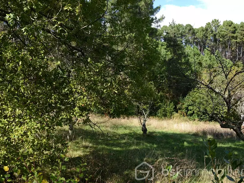 Terrain, 4 806 m²
