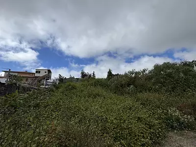Terrain, 800 m²