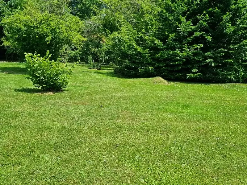 Terrain, 752 m²