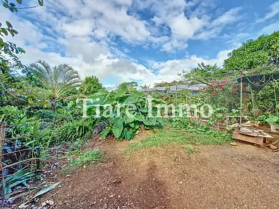 Terrain, 5 000 m²