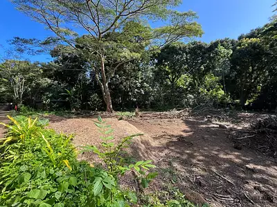 Terrain, 1 136 m²
