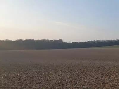 Terrain, 6 024 m²
