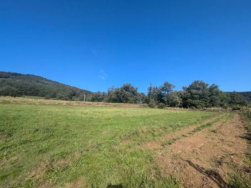 Terrain, 979 m²