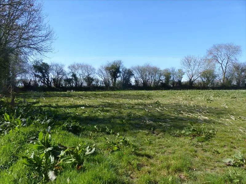 Terrain, 13 535 m²