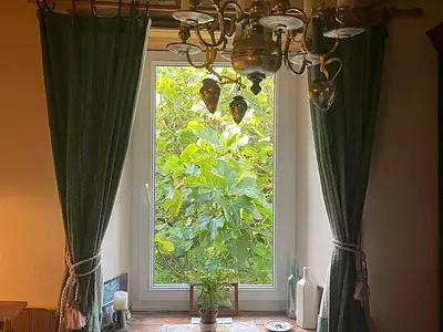 Maison, 45 m²