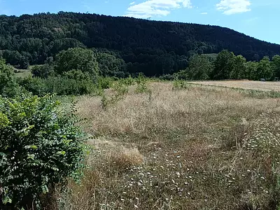 Terrain, 1 915 m²