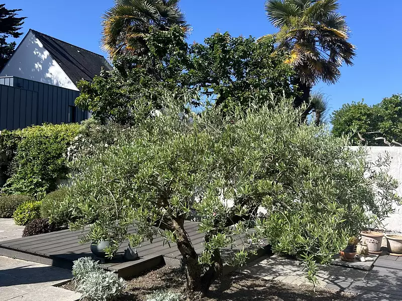 Maison, 139 m²