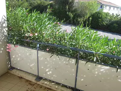 Appartement, 37,74 m²