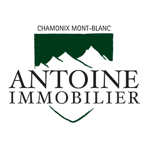 Antoine Immobilier